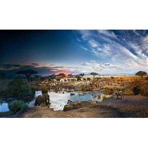 Puzzle: 1000 Stephen Wilkes: Serengeti National Park, Day to Night