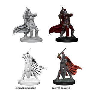 Pathfinder Deep Cuts Unpainted Miniatures: Wave 6: Female Knights / Gray Maidens