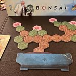 Bonsai (No Amazon Sales)