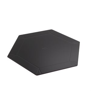 Magnetic Dice Tray: Hexagonal: Black / Pink ^ SEPT 29 2023