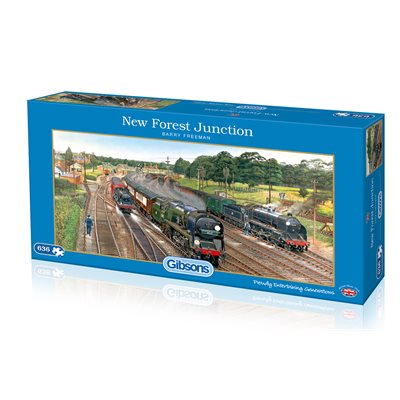 Puzzle: 636 New Forest Junction