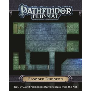 Pathfinder: Flip-Mat: Flooded Dungeon (Systems Neutral)