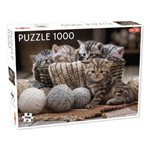 Puzzle: 1000 Kittens (No Amazon Sales) ^ Q3 2024