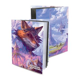 Binder:Character Folio w / Stickers:Planescape:Adventures in the Multiverse:ToFw (S / O)