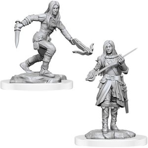 D&D Nolzur's Marvelous Unpainted Miniatures: Wave 17: Half-Elf Rogue Female