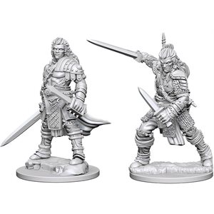 Pathfinder Deep Cuts Unpainted Miniatures: Wave 1: Human Male Fighter