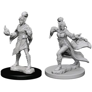Pathfinder Deep Cuts Unpainted Miniatures: Wave 1: Elf Female Sorcerer