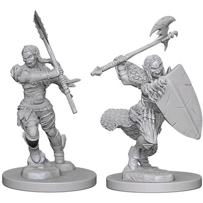 Pathfinder Battles Deep Cuts Unpainted Miniatures: Wave 1: Half-Orc Female Barbarian
