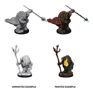 D&D Nolzur's Marvelous Unpainted Miniatures: Wave 9: Tortles Adventurers