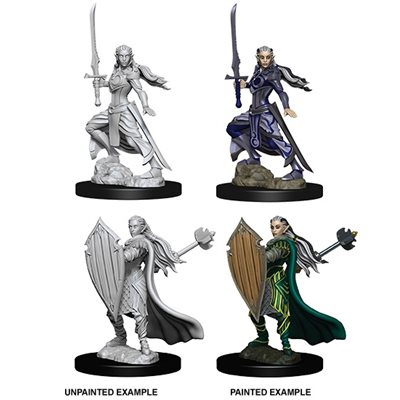 D&D Nolzurs Marvelous Unpainted Miniatures: Wave 9: Elf Female Paladin