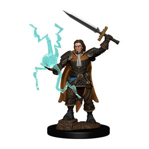 Pathfinder Battles Minis: Premium Painted Figures Wave 1: Human Cleric Male