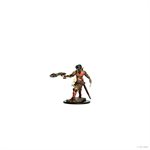 Pathfinder Battles: Premium Painted Figures: Wave 2: Half-Elf Ranger Female