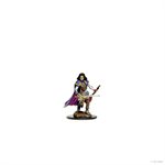 Pathfinder Battles: Premium Painted Figures: Wave 2: Human Bard Female