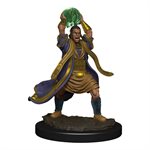 D&D Nolzur's Marvelous Unpainted Miniatures: Wave 11: Male Elf Sorcerer