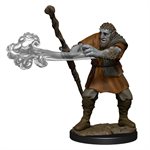 D&D Nolzur's Marvelous Unpainted Miniatures: Wave 11: Male Firbolg Druid