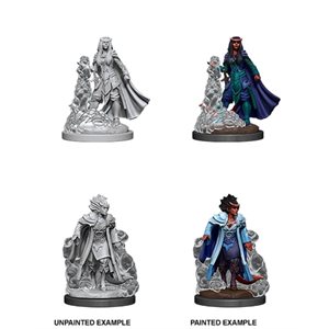 D&D Nolzur's Marvelous Unpainted Miniatures: Wave 12: Female Tiefling Sorcerer