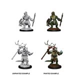 D&D Nolzur's Marvelous Unpainted Miniatures: Wave 12: Lizardfolk & Lizardfolk Shaman