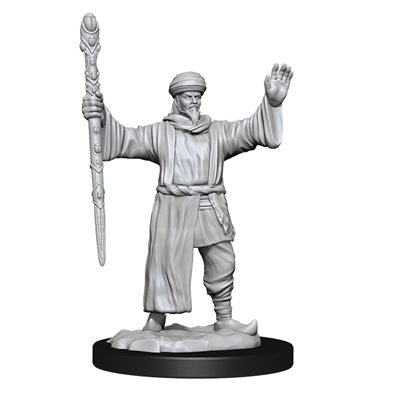 D&D Nolzur's Marvelous Unpainted Miniatures: Wave 13: Human Wizard Male