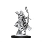 D&D Nolzur's Marvelous Unpainted Miniatures: Wave 13: Elf Ranger Female