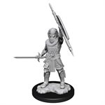 D&D Nolzur's Marvelous Unpainted Miniatures: Wave 13: Human Fighter Male