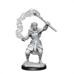 D&D Nolzur's Marvelous Unpainted Miniatures: Wave 13: Firbolg Druid Female