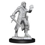 D&D Nolzur's Marvelous Unpainted Miniatures: Wave 13: Multiclass Fighter + Wizard Male