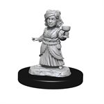 D&D Nolzur's Marvelous Unpainted Miniatures: Wave 13: Silver Dragon Wyrmling & Female Halfling