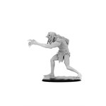 D&D Nolzur's Marvelous Unpainted Miniatures: Wave 12.5: Troll