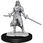 D&D Nolzur's Marvelous Unpainted Miniatures: Wave 14: Half-Elf Rogue Female