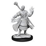 D&D Nolzur's Marvelous Unpainted Miniatures: Wave 14: Half-Elf Wizard Male