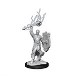 D&D Nolzur's Marvelous Unpainted Miniatures: Wave 14: Half-Elf Paladin Male