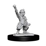 D&D Nolzur's Marvelous Unpainted Miniatures: Wave 14: Gnome Artificer Male