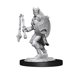 D&D Nolzur's Marvelous Unpainted Miniatures: Wave 14: Kalashtar Cleric Female