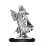 D&D Nolzur's Marvelous Unpainted Miniatures: Wave 14: Kalashtar Cleric Female