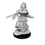 D&D Nolzur's Marvelous Unpainted Miniatures: Wave 14: Night Hag & Dusk Hag