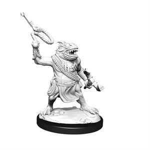D&D Nolzur's Marvelous Unpainted Miniatures: Wave 14: Kuo-Toa & Kuo-Toa Whip