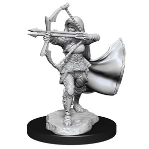 D&D Nolzur's Marvelous Unpainted Miniatures: Wave 15: Air Genasi Female