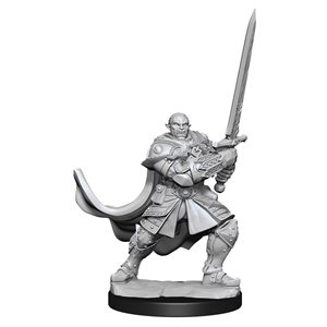 D&D Nolzur's Marvelous Unpainted Miniatures: Wave 15: Half-Orc Paladin Male