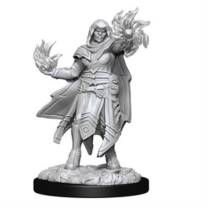 D&D Nolzur's Marvelous Unpainted Miniatures: Wave 15: Hobgoblin Fighter Male & Hobgoblin Wizard Fema