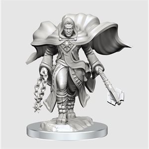 D&D Nolzur's Marvelous Unpainted Miniatures: Wave 20: Aasimar Cleric Male