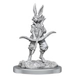 D&D Nolzur's Marvelous Unpainted Miniatures: Paint Kit: Harengon