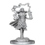 D&D Nolzur's Marvelous Unpainted Miniatures: Wave 21: Dark Spellcaster & Flameskulls