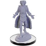 Critical Role Unpainted Miniatures: Wave 5: Lucien Tavelle & Cree Deeproots