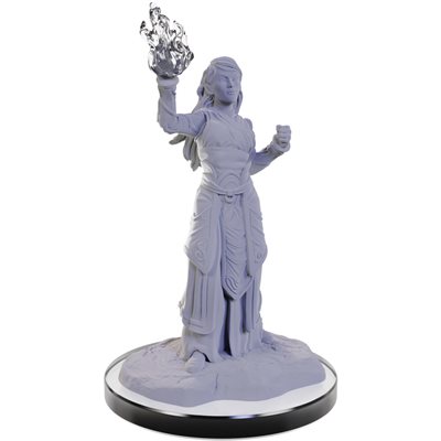 D&D Nolzur's Marvelous Unpainted Miniatures: Wave 22: Elf Wizards