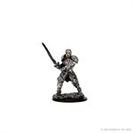 D&D Icons of the Realms: Wave 3: Male Human Fighter