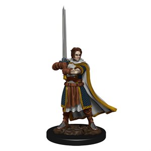 D&D Icons of the Realms: Wave 4: Human Cleric Male