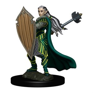 D&D Icons of the Realms: Wave 4: Elf Paladin Female