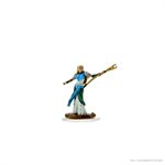 D&D Icons of the Realms: Female Elf Sorcerer
