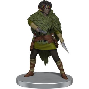 D&D Icons of the Realms: Dragonlance: Warrior Set ^ JUN 2023