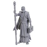 D&D Nolzur's Marvelous Miniatures: Special Edition Baldur's Gate 3: Volo & Withers ^ MAY 2025